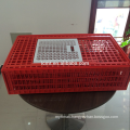 best selling Plastic live chicken transport cage for the slaughter farm